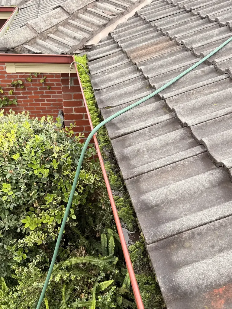 Gutter full of debris with moss growing in it, before cleaning, Melbourne